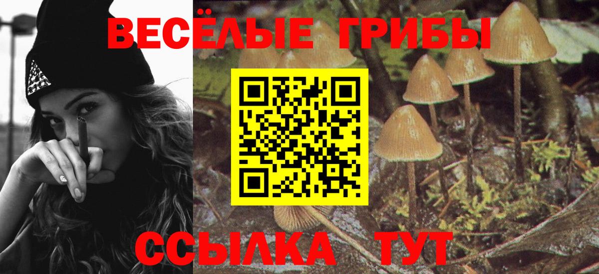 Псилоцибиновые грибы Psilocybe  Вход с VPN  Галлюциногенные грибы прущие грибы  Петровск 
