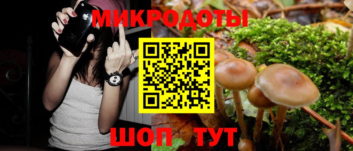 Псилоцибиновые грибы мухоморы Петровск